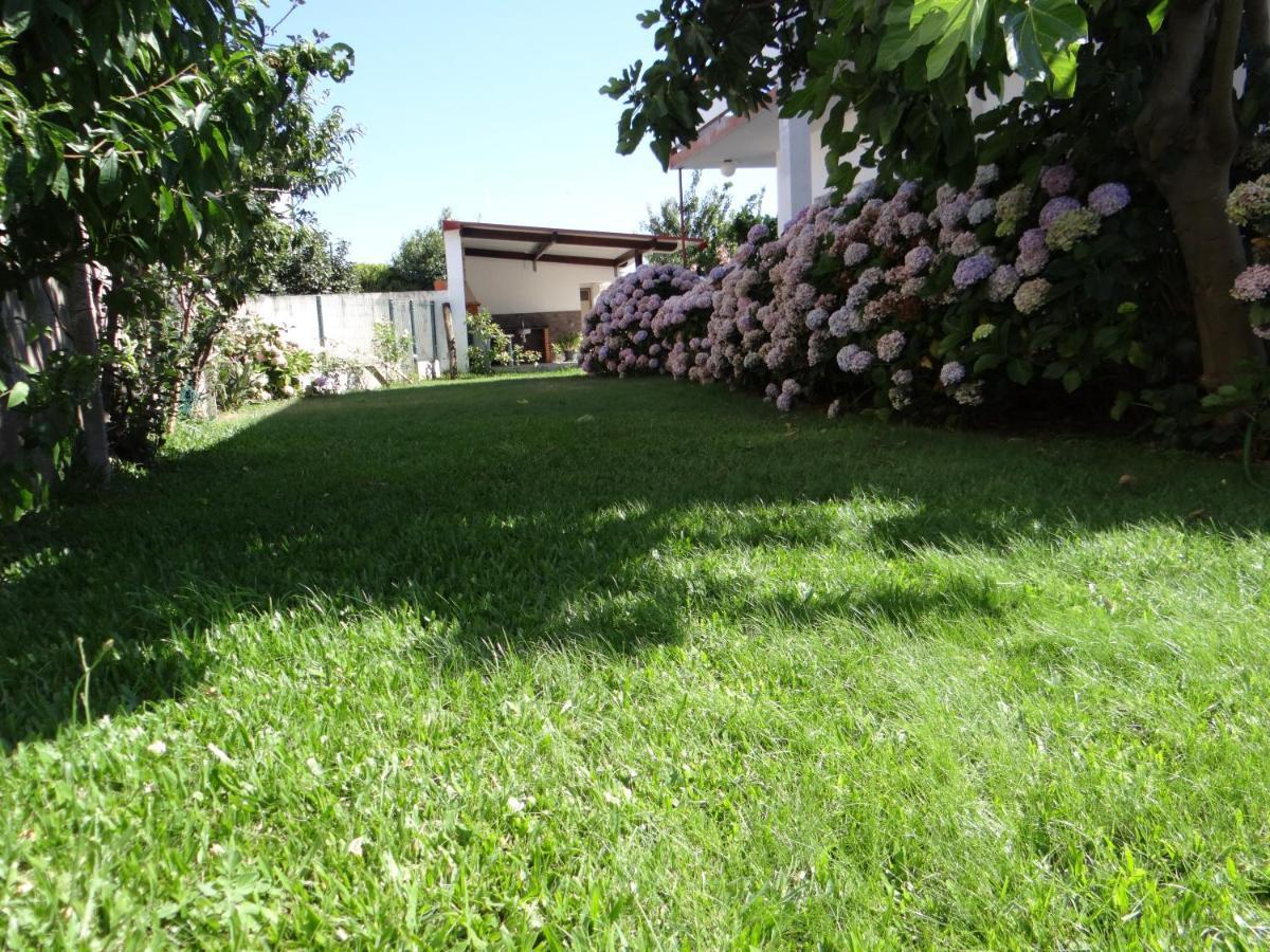 הוילה Gafanha da Nazaré Ribeiro'S House מראה חיצוני תמונה